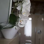 Le Di San Vitale Easy Guest house Ravenna