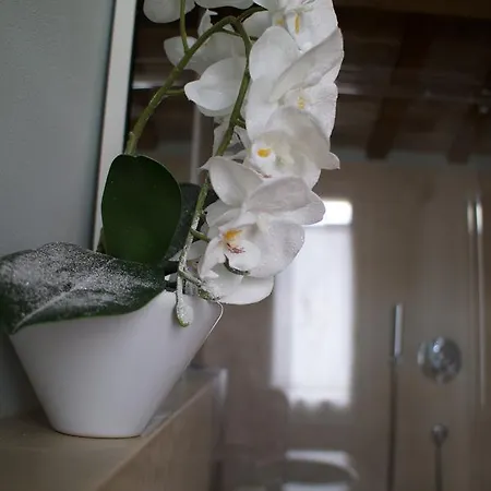 Le Di San Vitale Easy Konukevi Ravenna