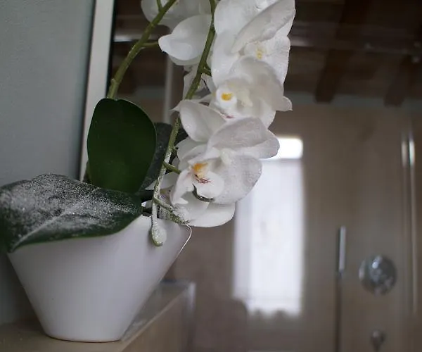 Le Di San Vitale Easy Guest house Ravenna